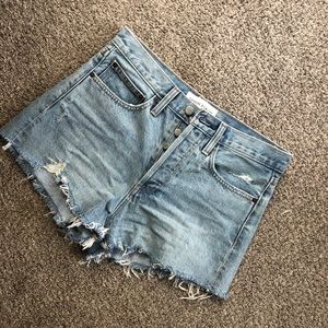 Aritzia Shorts